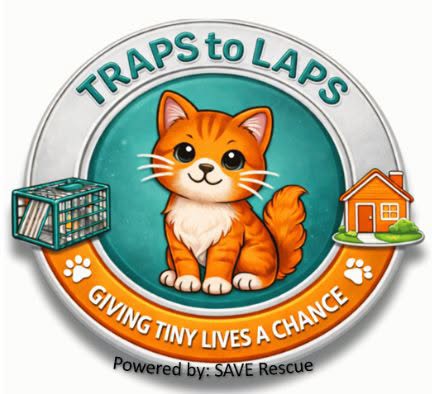 Traps to Laps logo: a cheerful orange kitten between a humane trap and a home